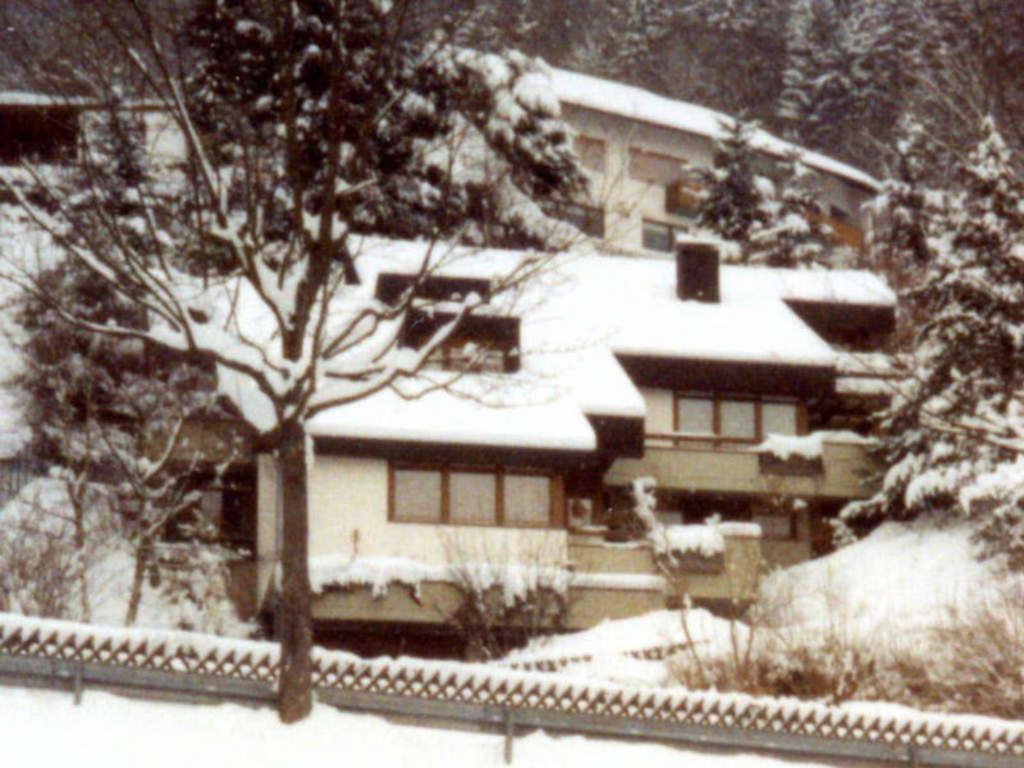 Ferienwohnung Haus Sonnenhang Todtnau Exterior foto